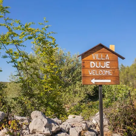 Duje Vila *
